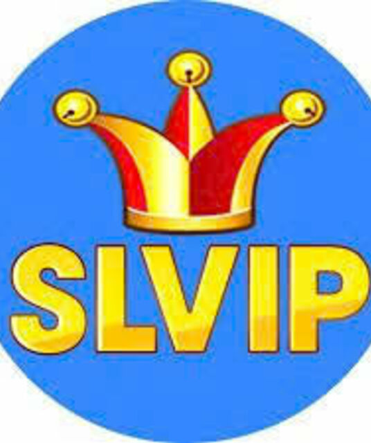 avatar Slvip