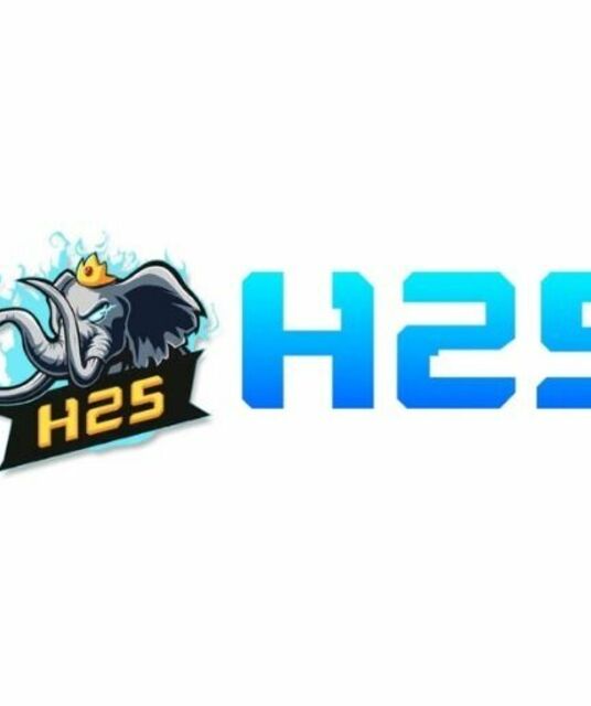 avatar H25