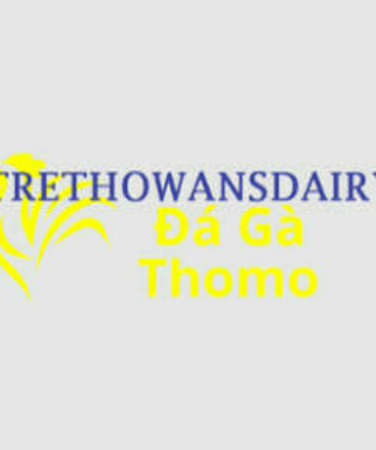 avatar Đá Gà Trực Tiếp Thomo