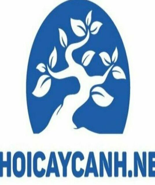 avatar Chơi Cây Cảnh