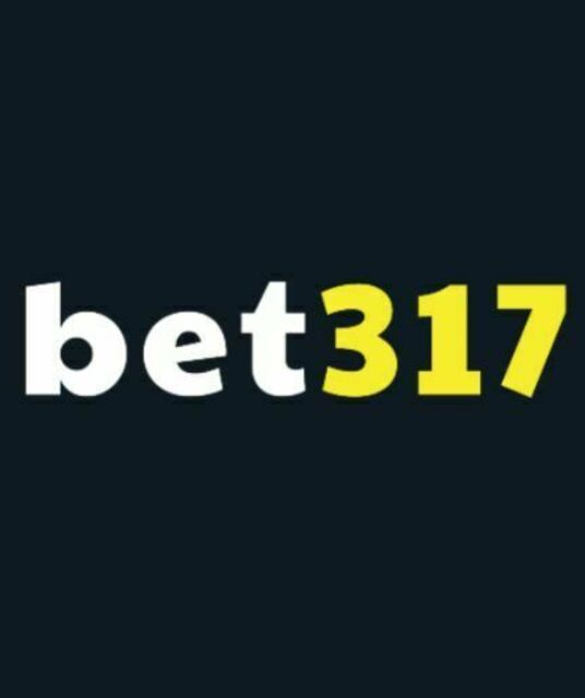 avatar Plataforma Bet317