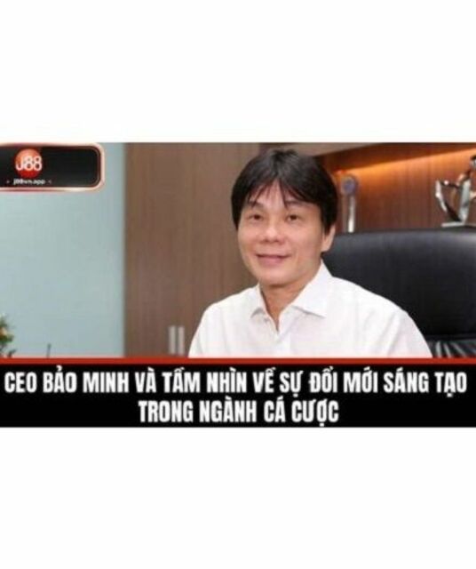 avatar CEO Bảo Minh