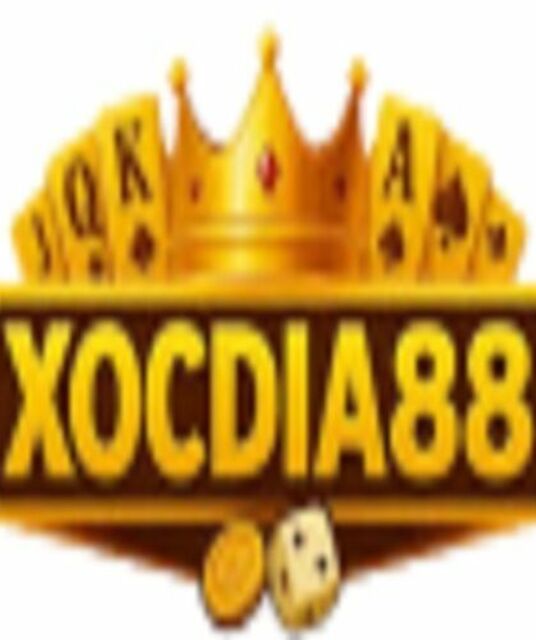 avatar Xocdia88 ltd