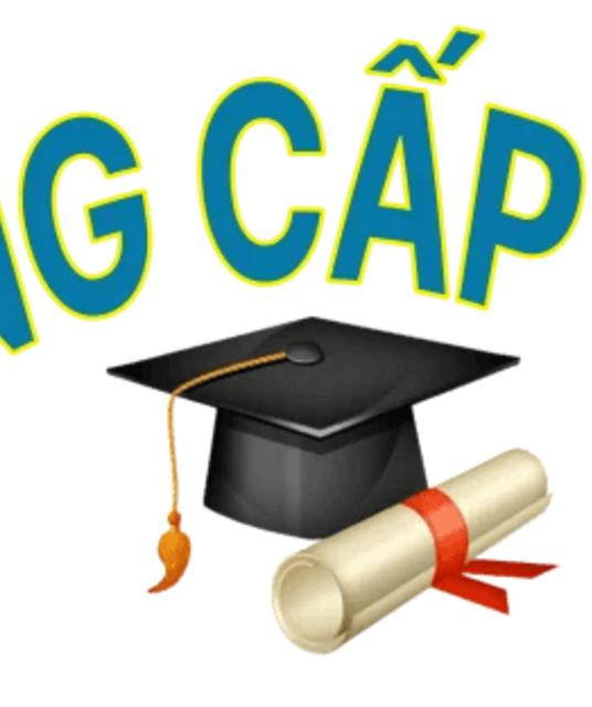 avatar Bằng cấp Uy tín 365