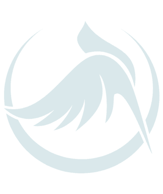 avatar chim canh quy tran