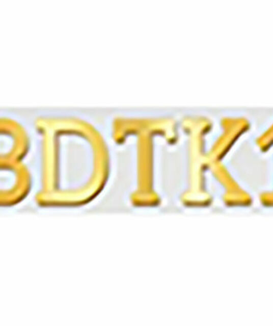 avatar BDTK1
