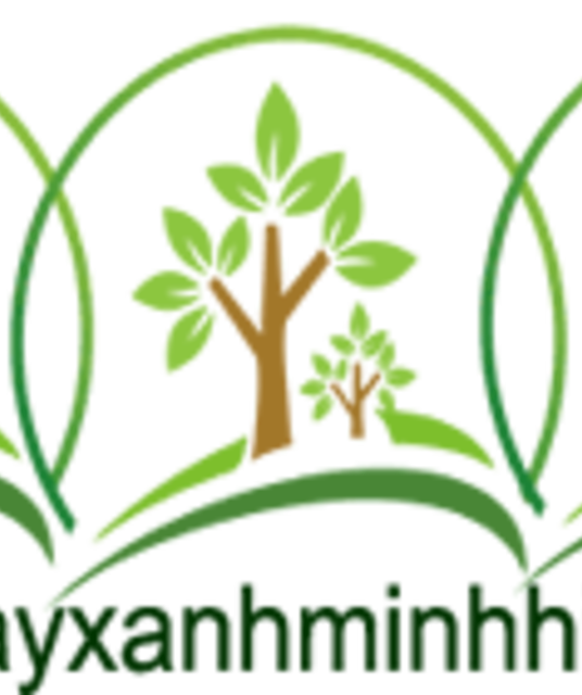 avatar Cây Công Trình