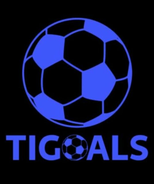 avatar TiGoals – Situs Informasi dan Taruhan Olahraga