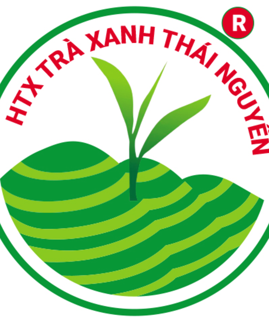 avatar Trà Thái Nguyên Tân Cương