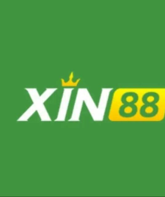 avatar XIN88