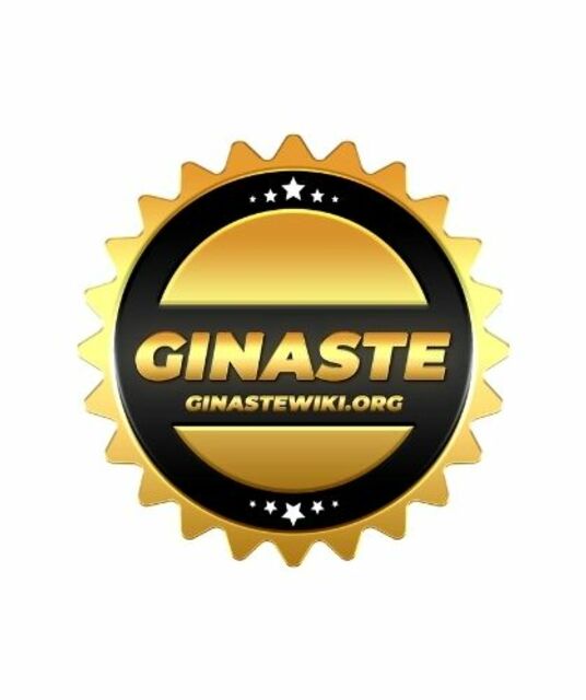avatar GINASTE