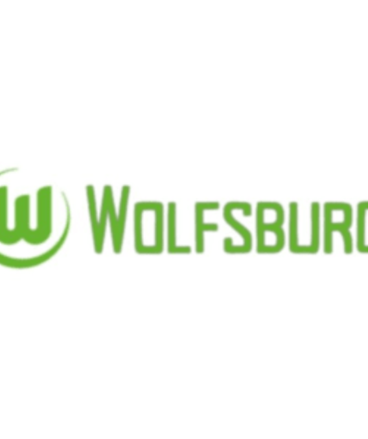 avatar Wolfsburg Việt Nam